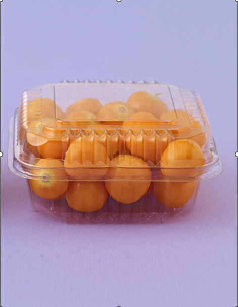 Contenedor desechable Minipack x 5 und