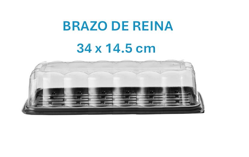 Domos Rectangulares