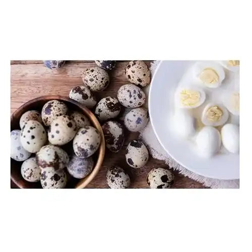 Huevos de codorniz: bolsa x 24 und