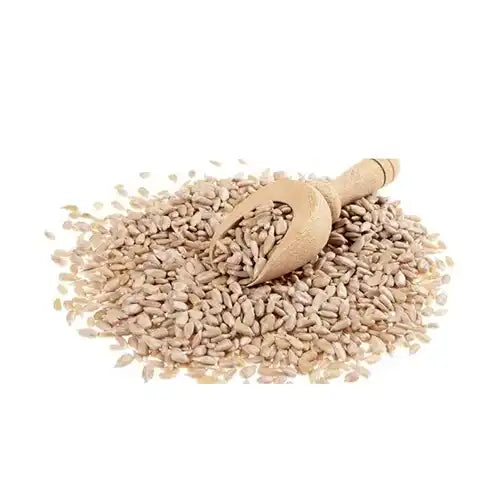 Semilla de girasol x 25 kg