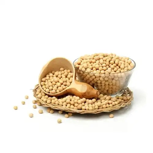 Soya en pepa x 25 kg