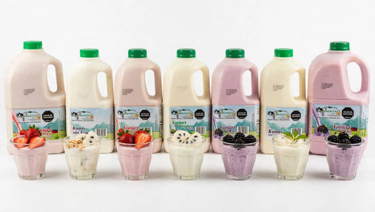 Yogurt jalavcum